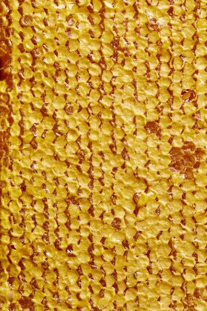 Closeup of a honeycomb texture