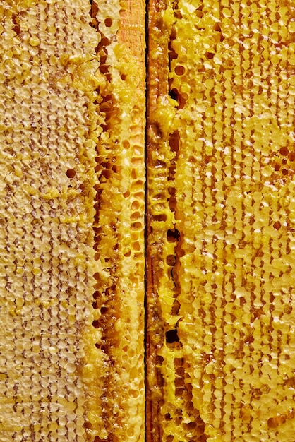 Closeup of a honeycomb texture