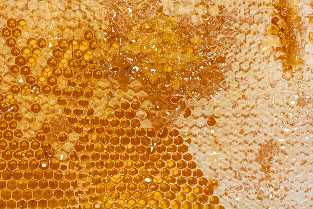 Closeup on the honeycombs of a hive frame full of dripping honey