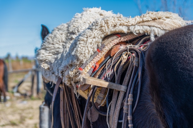 Closeup of horse saddle in Patagonian, Argentina