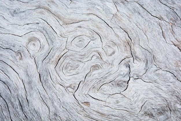 Closeup houten textuur