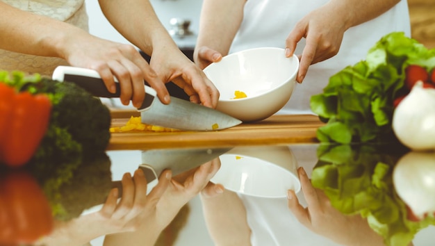 Closeup of human hands cooking in kitchen. Mother and daughter or two female friends cutting vegetables for fresh salad. Friendship, family dinner and lifestyle concepts.