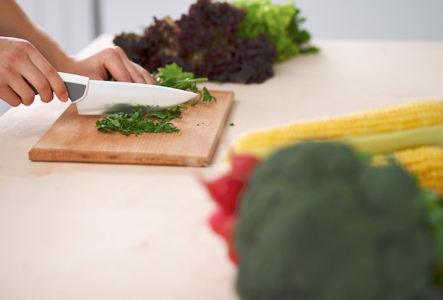 Closeup of human hands cooking vegetables salad in kitchen Healthy meal and vegetarian concept