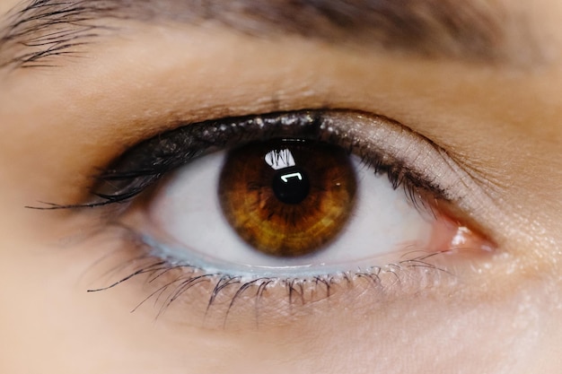 Closeup image of a female eye A woman with beautifully drawn eyes