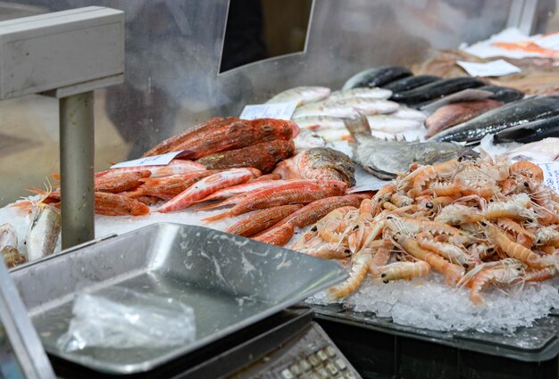 Photo closeup image of fish and seafood on ice at fish market