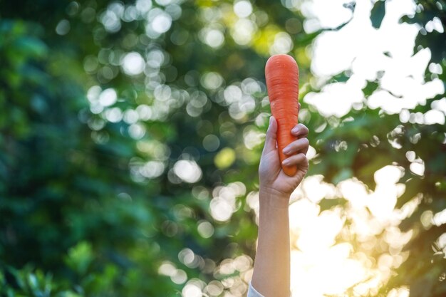 Крупным планом изображение руки, держащей и показывающей морковь на фоне природы