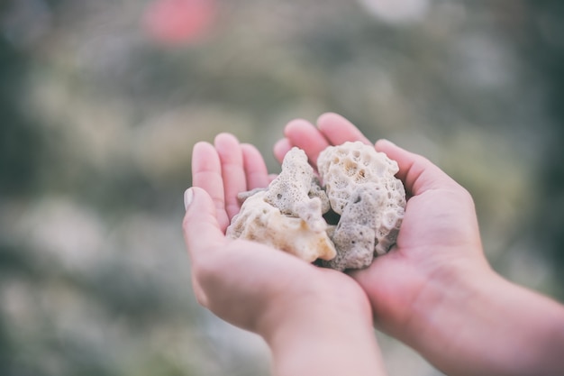 Closeup image of hands holding and showing corals on the beach