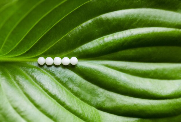 Closeup image of homeopathic medicine consisting of the pills