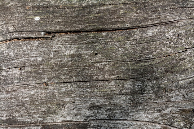 Closeup image of an old wooden board Shriveled tree trunk Background Texture