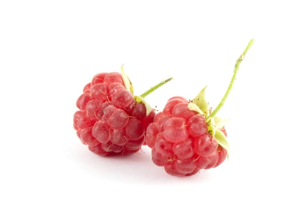 Closeup image of a raspberry on a white background