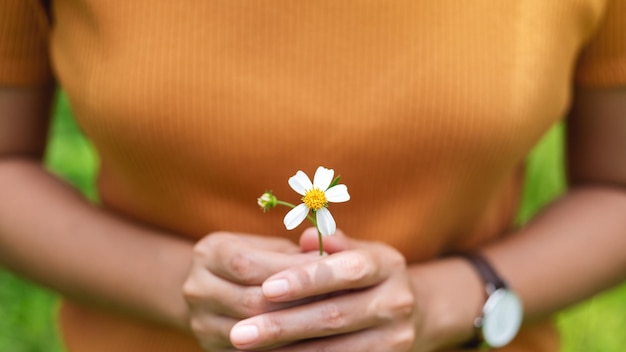 Closeup image of a woman holding Biden Alba or Spanish needles flower in hands