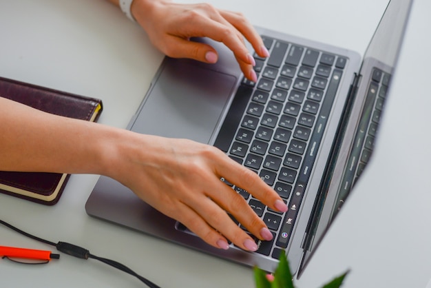 closeup image of a woman working on an office laptop freelancer