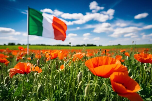 Closeup of the Irish flag with a traditional Irish wolfhound sitting beside it