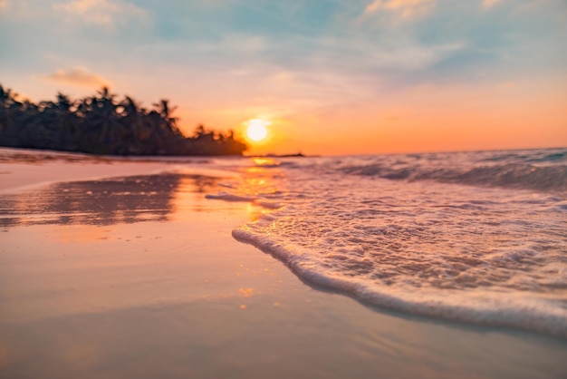 Closeup island coast palm trees sea sand beach. Blurred beautiful tropical beach landscape. Inspire