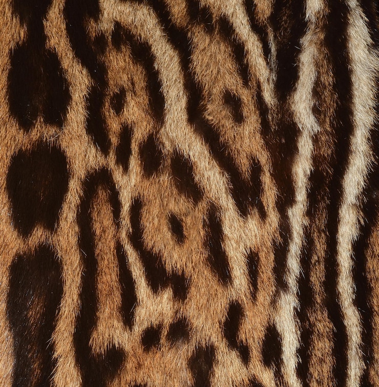 Photo closeup of jaguar skin texture