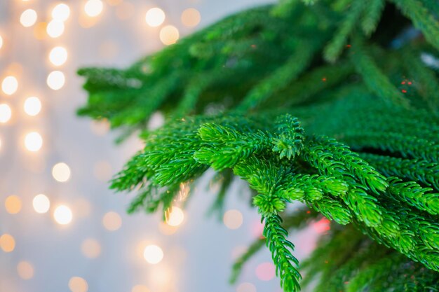 Closeup kerstboom met bokeh lichte achtergrond