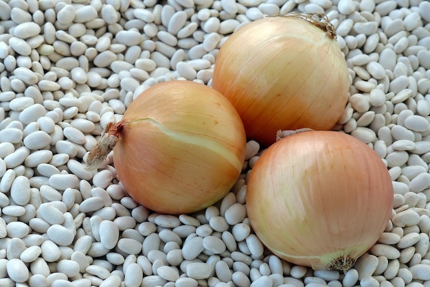 Closeup large onion stands on white dried beans onions and beans