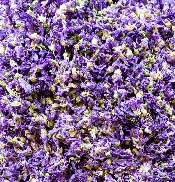 Closeup of the lavender tea on the market in Istanbul, Turkey