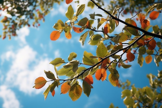 Closeup of leaf with blurred nature background and sun flare