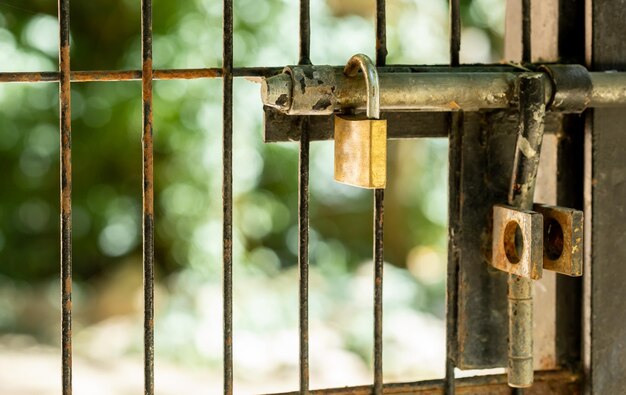 Closeup of a lock hanging on a metal door