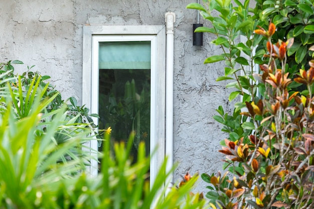 Closeup of loft style of home in green garden