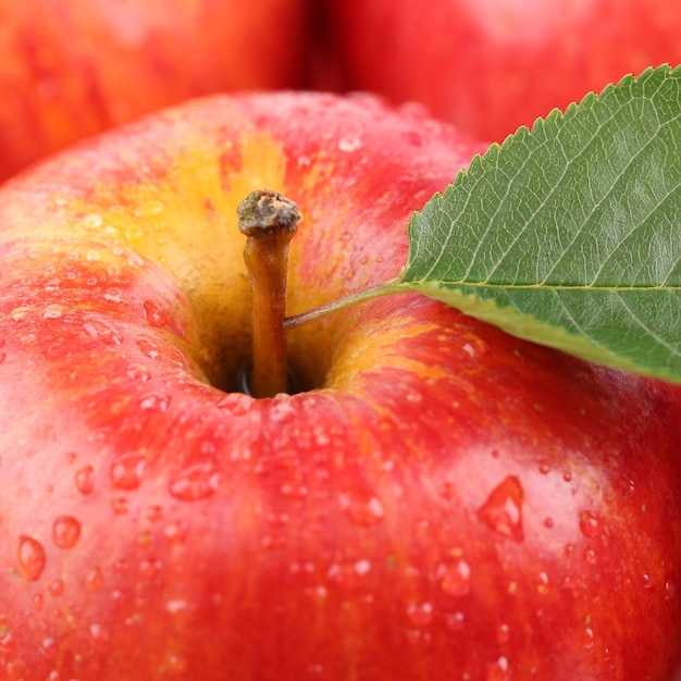 Closeup macro red apple fruit with leaf