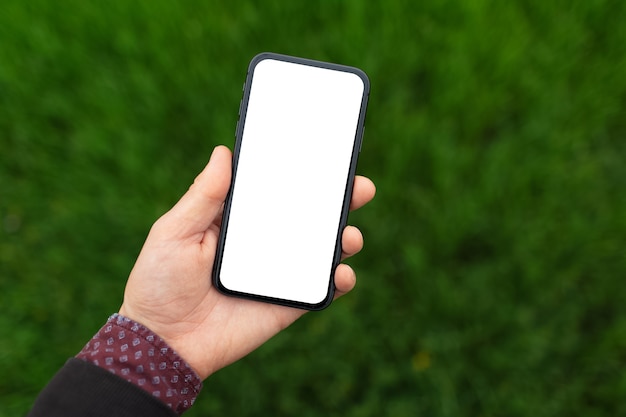 Closeup of male hand holding smartphone with mockup on background of blurred green grass.