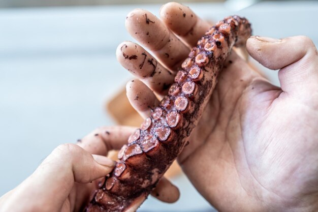 Closeup of a man's hands holding an octopus leg