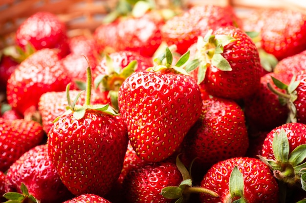 Closeup of many fresh strawberries