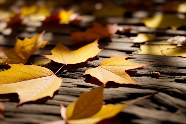 Foto immagine ravvicinata delle foglie di acero sull'albero durante l'autunno