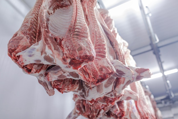 Closeup of meat processing in the food industry a worker cuts\
raw pork the concept of meat products