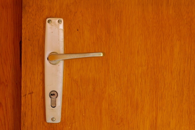 Closeup of metallic handle of a wooden door