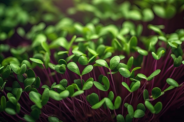 Крупный план ростков микрозелени Генеративный ИИ