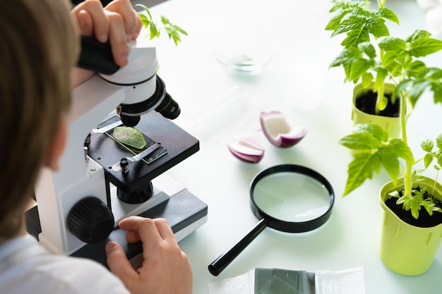 Closeup microscope and plant study increasing and studying nature
