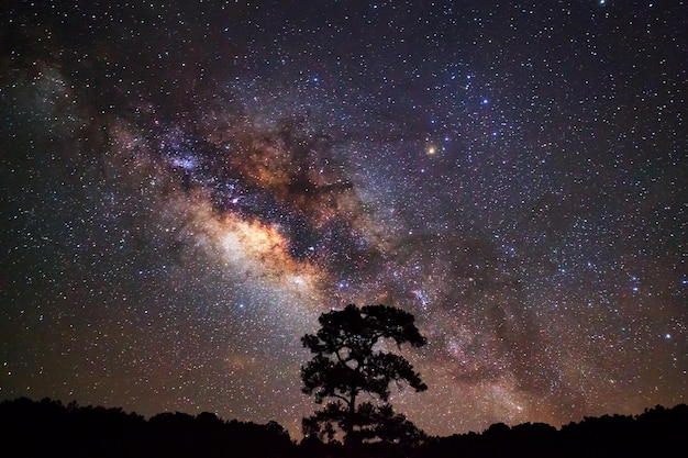 Closeup of Milky Way and Silhouette of treexALong exposure photograph with grain