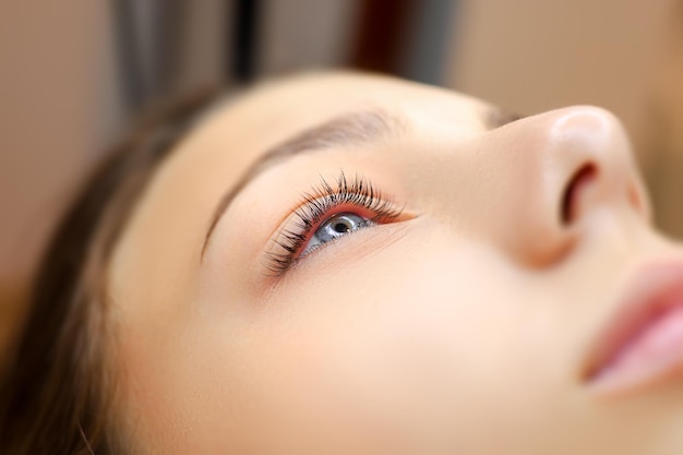 Closeup of model's eye with laminated eyelashes after lamination procedure