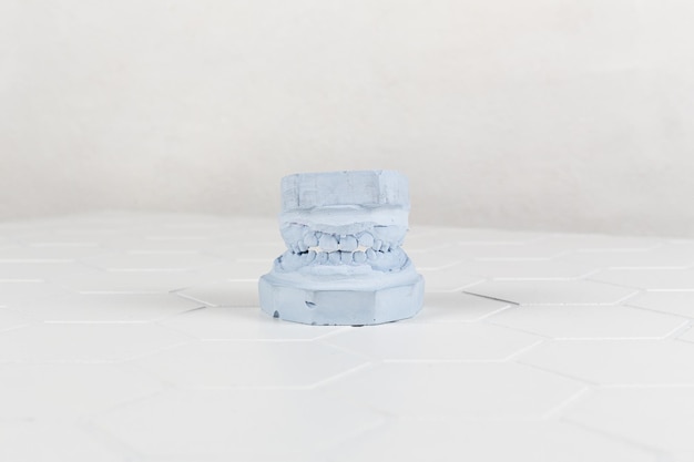 Closeup of a modern model of human jaws on a light white background