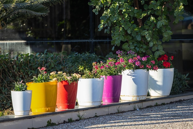 Closeup of multicolored pots on the street