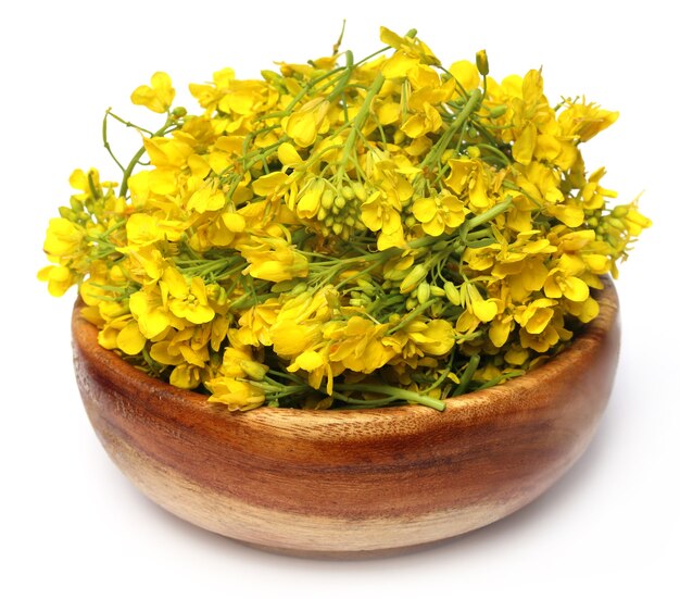 Closeup of mustard flower on wooden bowl