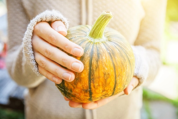 Primo piano naturale autunno autunno vista donna mani che tengono zucca gialla inspirational natura ottobre o settembre carta da parati cambio di stagioni cibo biologico maturo concetto festa di halloween giorno del ringraziamento