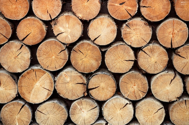 Closeup natural wooden background with timber