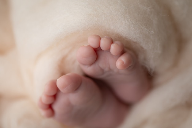 Closeup of newborn baby feet