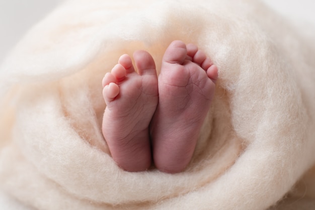 Closeup of newborn baby feet