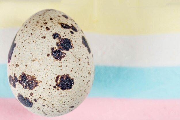 写真 多色のストライプの背景にあるクワイルの卵のクローズアップ