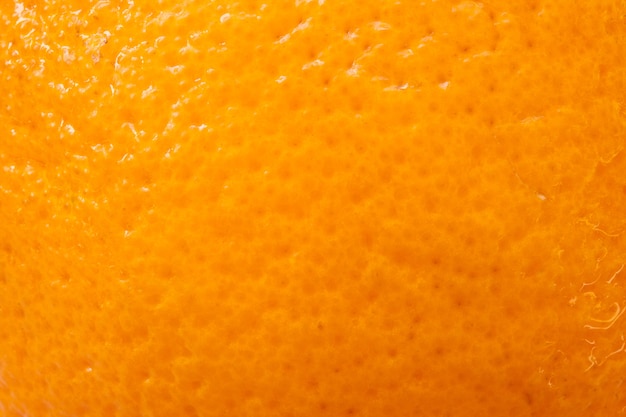 Фото Макрофотография апельсиновой корки