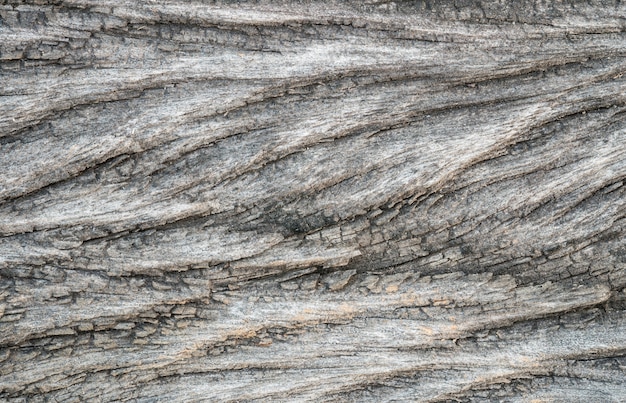 Closeup old and dried wood pattern at the table texture