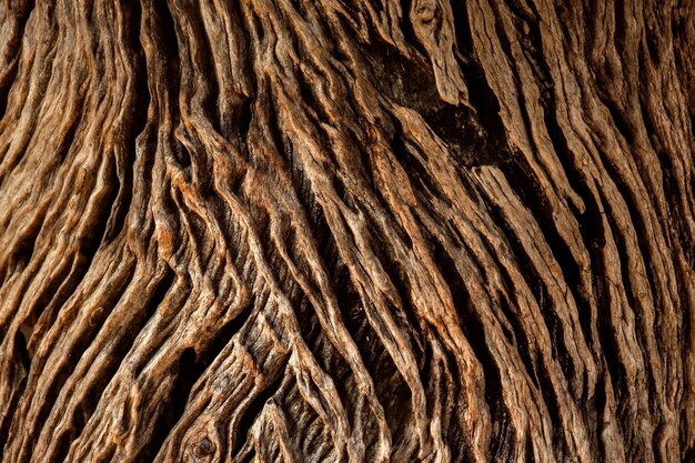 Photo closeup of old and grunge wooden texture surface background 