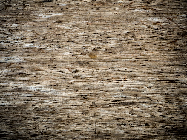 Closeup of old wood texture,background, for copy space