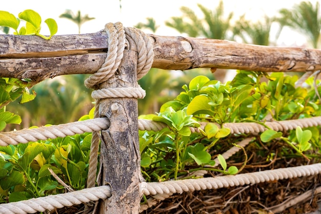 Closeup of old wooden fence covered with cloth ropes and green vegetation.