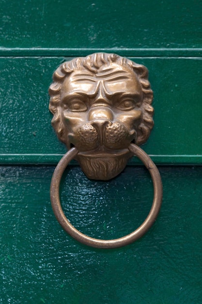 사진 나폴리 이탈리아의 녹색 문에 사자 머리 문 두 들기에 근접 촬영